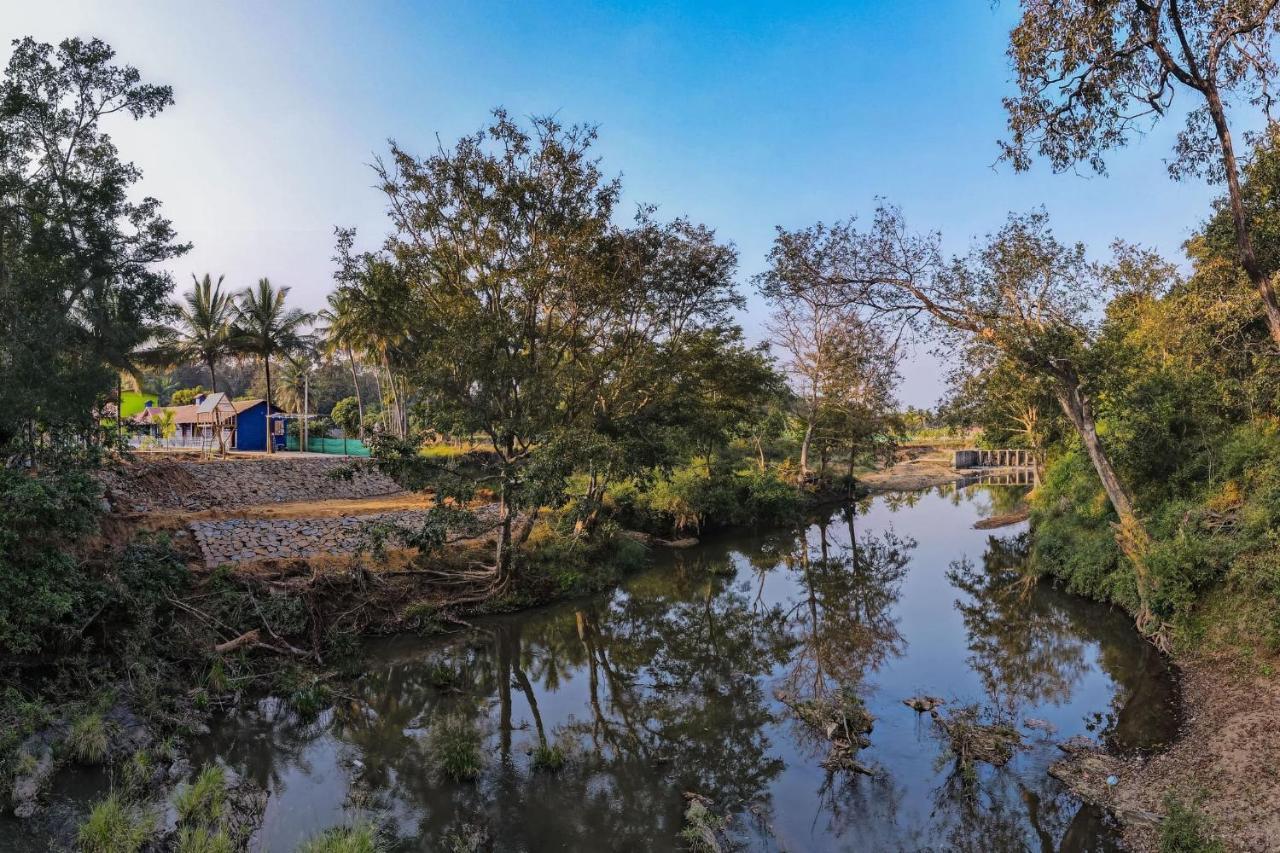 דנדלי Fortune River Resort מראה חיצוני תמונה